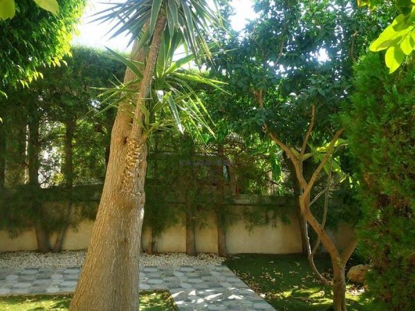 6 bedroom detached house for sale dekeleia larnaca 1195528 image 5580120