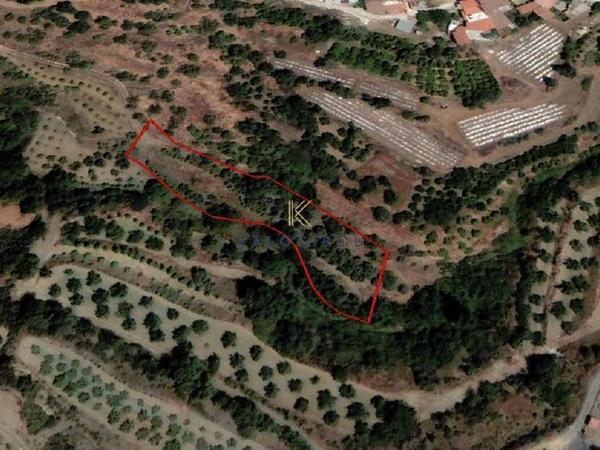 land for sale agioi vavatsinias larnaca 1649528 image 5636788