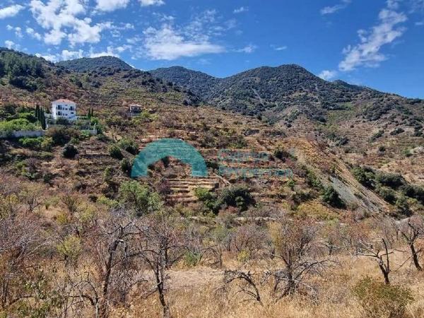 land for sale alona nicosia 8101528 image 13206968