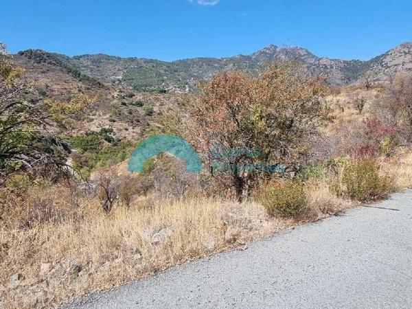 land for sale alona nicosia 8101528 image 13206971