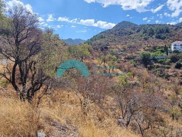 land for sale alona nicosia 8101528 image 13206978