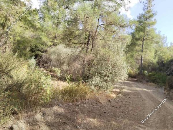 land for sale lysos paphos 8629528 image 16685409