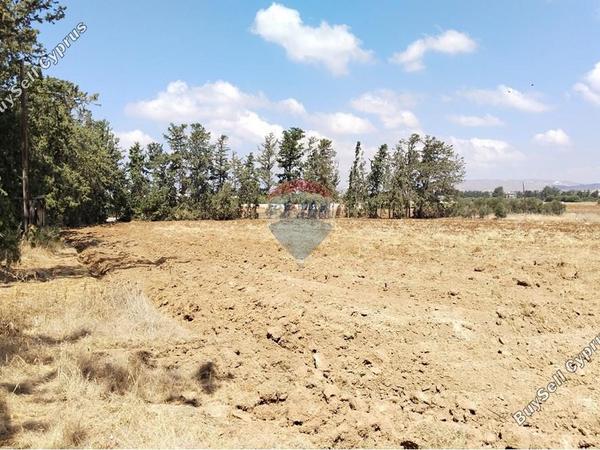 land for sale mandria pafou paphos 1511528 image 14841788