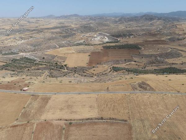 land for sale nikitari nicosia 8463528 image 15136405