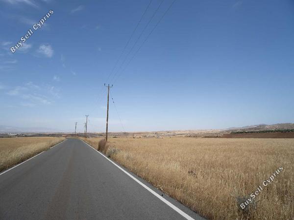 land for sale nikitari nicosia 8463528 image 15136412