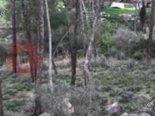 plot for sale psevdas larnaca 7921528 image 11218702