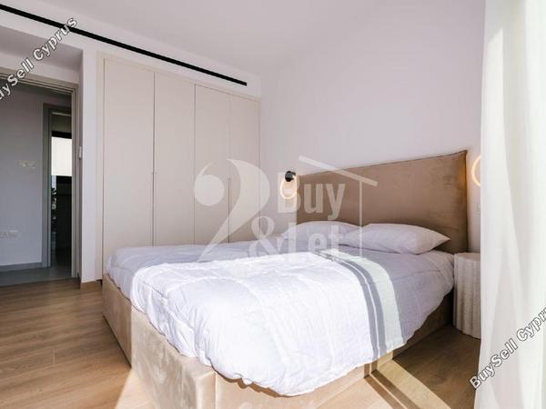 2 bedroom apartment for rent kato paphos universal paphos 8711628 image 16290294