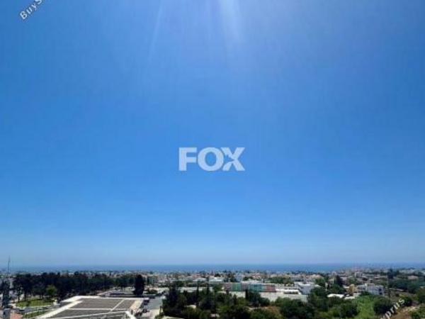 studio office for rent paphos municipality paphos 1165628 image 15571482
