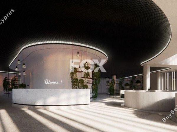 studio office for rent paphos municipality paphos 1165628 image 15571496