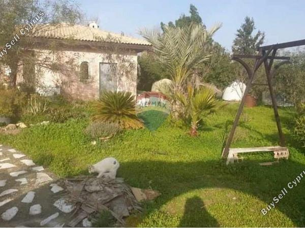 4 bedroom detached house for sale alampra nicosia 8542728 image 15517708