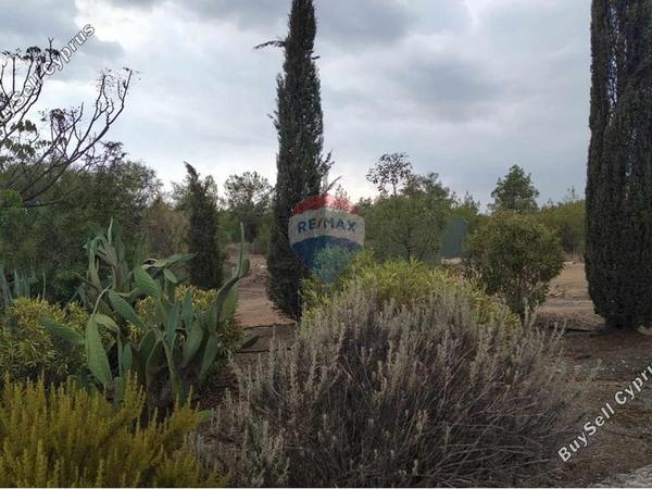 4 bedroom detached house for sale alampra nicosia 8542728 image 15517712