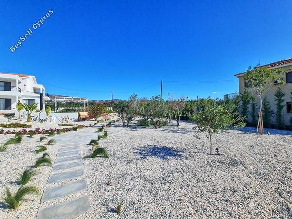 5 bedroom detached house for sale coral bay paphos 1603828 image 4055630