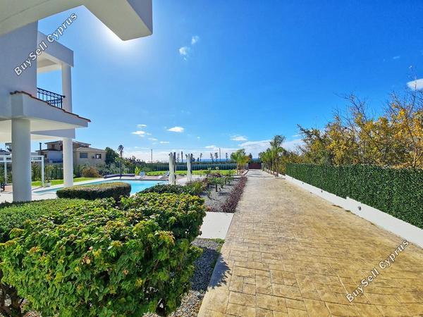5 bedroom detached house for sale coral bay paphos 1603828 image 4055688