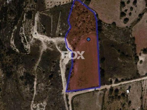 land for sale marathounta paphos 1419828 image 15840187
