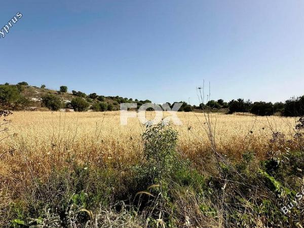 land for sale marathounta paphos 1419828 image 15840192