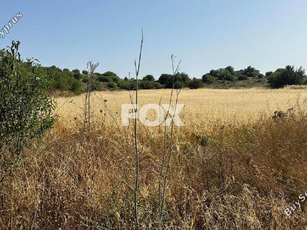 land for sale marathounta paphos 1419828 image 15840198