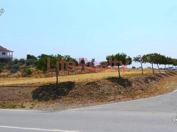 land for sale moni limassol 1788828 image 6566315