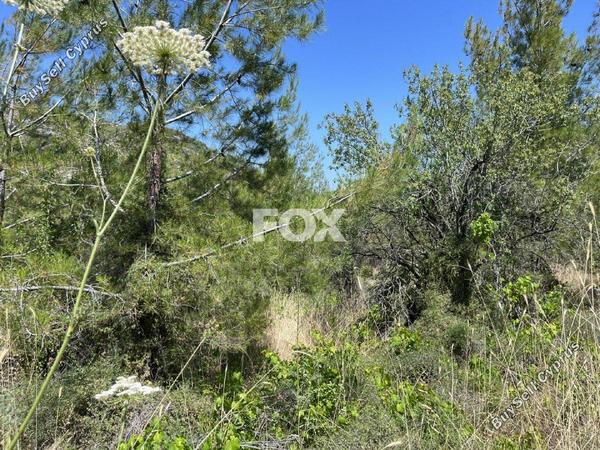 land for sale pera pedi limassol 1147828 image 5561837