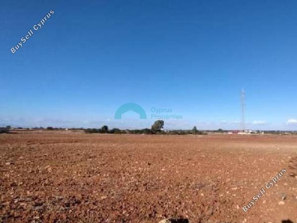 land for sale xylofagou larnaca 1938828 image 7671472