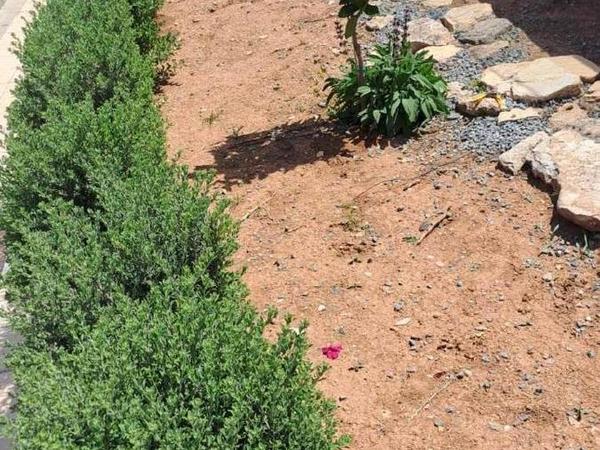 4 bedroom detached house for sale souni zanakia limassol 1389928 image 5419168