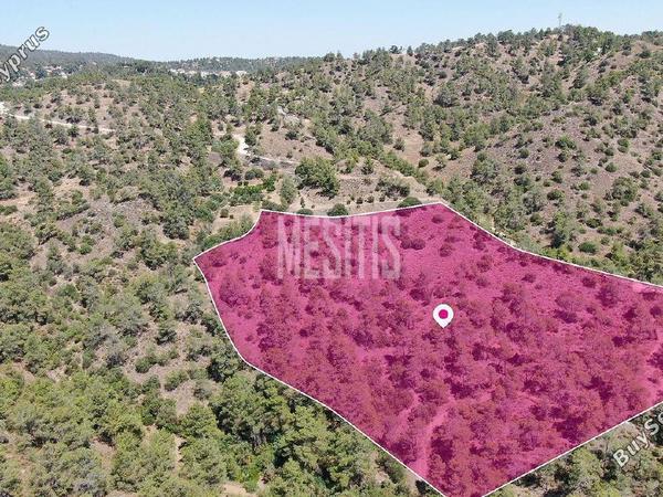 land for sale kapedes nicosia 1426928 image 10500145