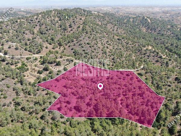 land for sale kapedes nicosia 1426928 image 10500146