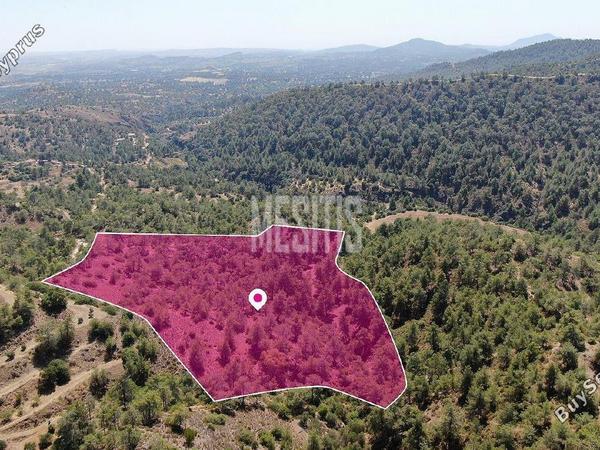 land for sale kapedes nicosia 1426928 image 10500147