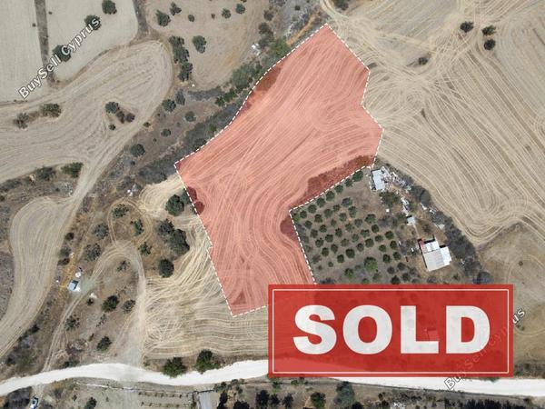 land sold agrokipia nicosia 8412928 image 14963708