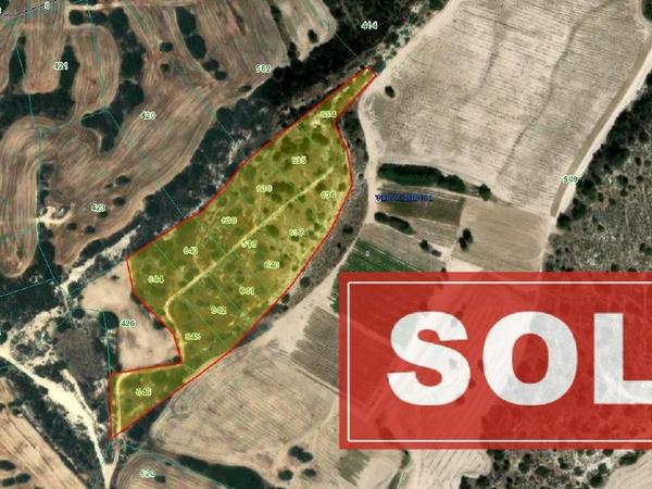 land sold psematismenos larnaca 8301928 image 14102266