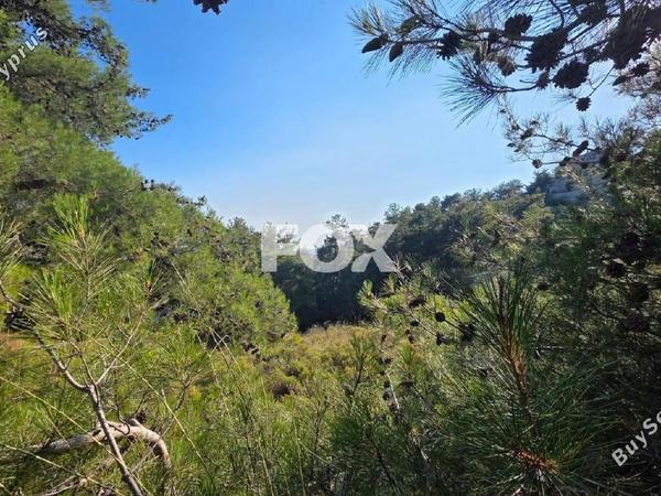 plot for sale pano platres limassol 8940928 image 17832120