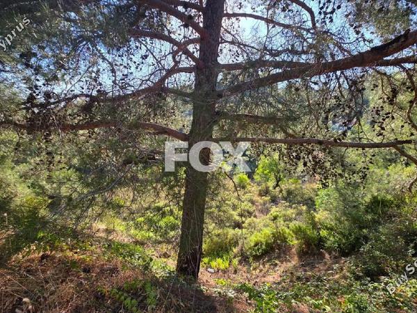 plot for sale pano platres limassol 8940928 image 17832123