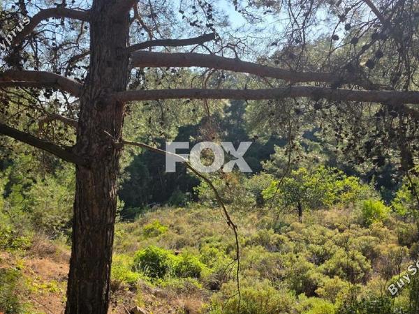 plot for sale pano platres limassol 8940928 image 17832125
