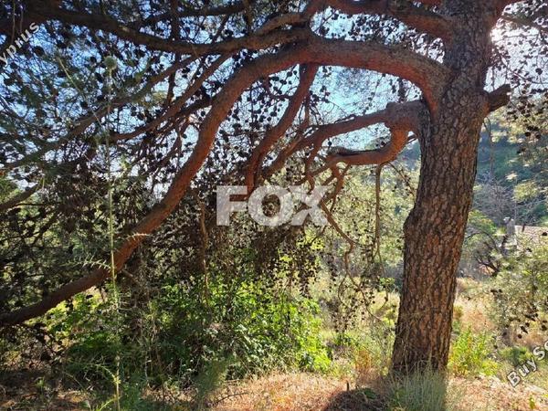 plot for sale pano platres limassol 8940928 image 17832130
