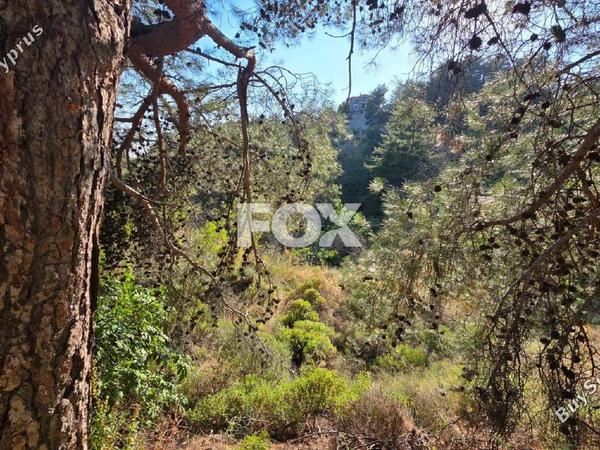 plot for sale pano platres limassol 8940928 image 17832133