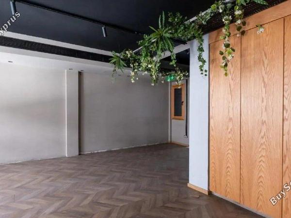 studio shop for rent nicosia municipality nicosia 8804928 image 16804137