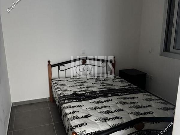 1 bedroom apartment for rent agios andreas nicosia nicosia 8634038 image 16340542