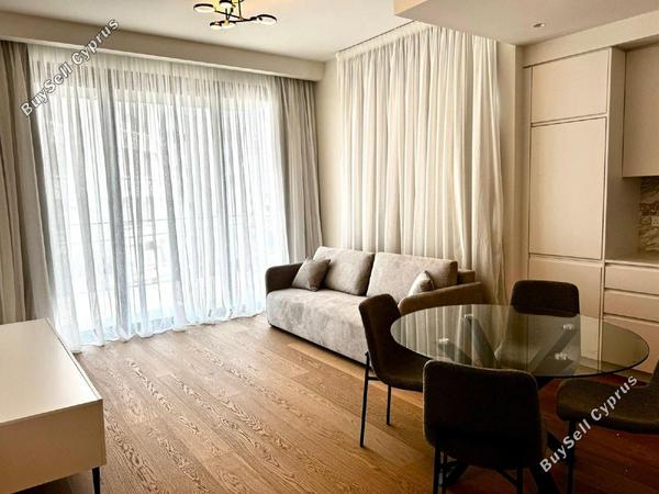 1 bedroom apartment for rent potamos germasogeias limassol 1616038 image 16331042