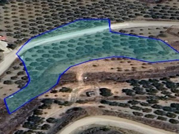 land for sale analiontas nicosia 8328038 image 16162535