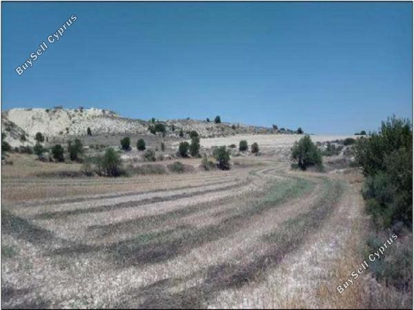 land for sale pera orinis nicosia 1062038 image 16181588