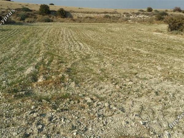 land for sale pera orinis nicosia 1062038 image 16181591