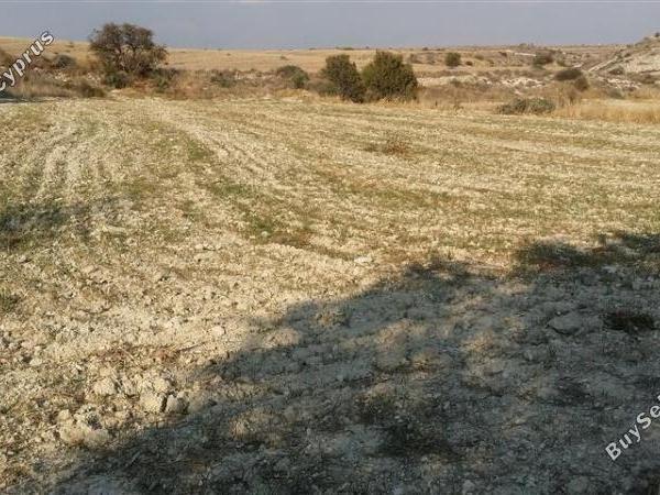land for sale pera orinis nicosia 1062038 image 16181593
