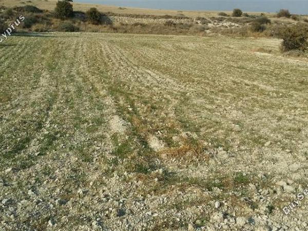 land for sale pera orinis nicosia 1062038 image 16181594
