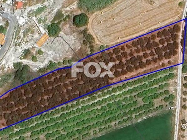 land for sale nikokleia paphos 8333138 image 15400218