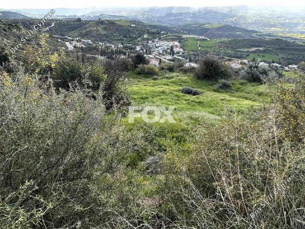 land for sale steni paphos 1270138 image 5555485