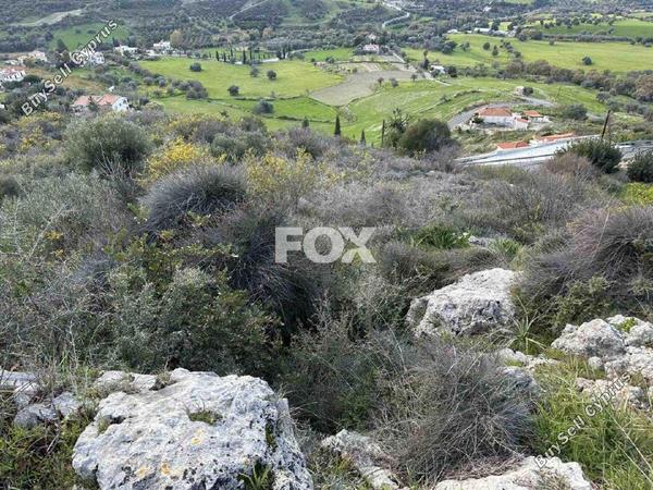 land for sale steni paphos 1270138 image 5555489