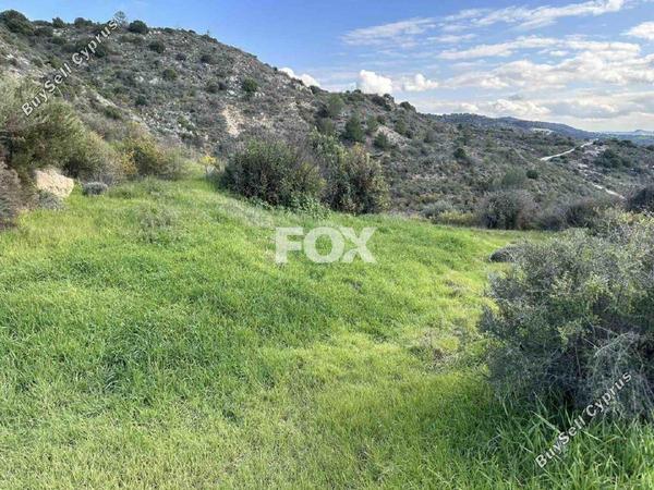 land for sale steni paphos 1270138 image 5555491