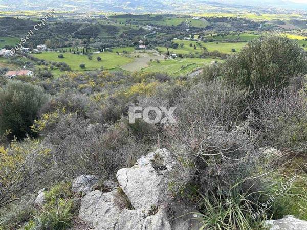 land for sale steni paphos 1270138 image 5555495