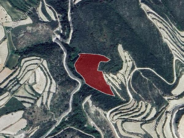 land for sale koili paphos 823238 image 15598558