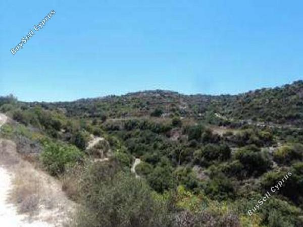 land for sale koili paphos 823238 image 17253456