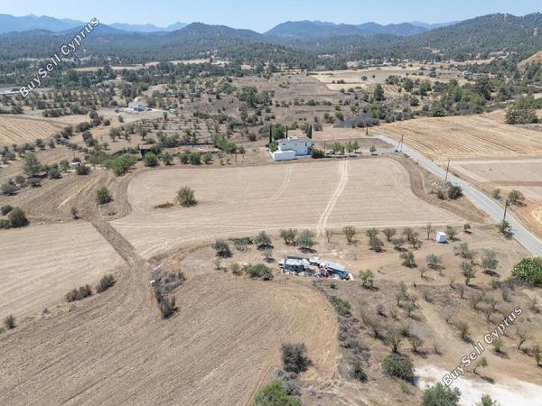 land for sale mitsero nicosia 946238 image 15602819